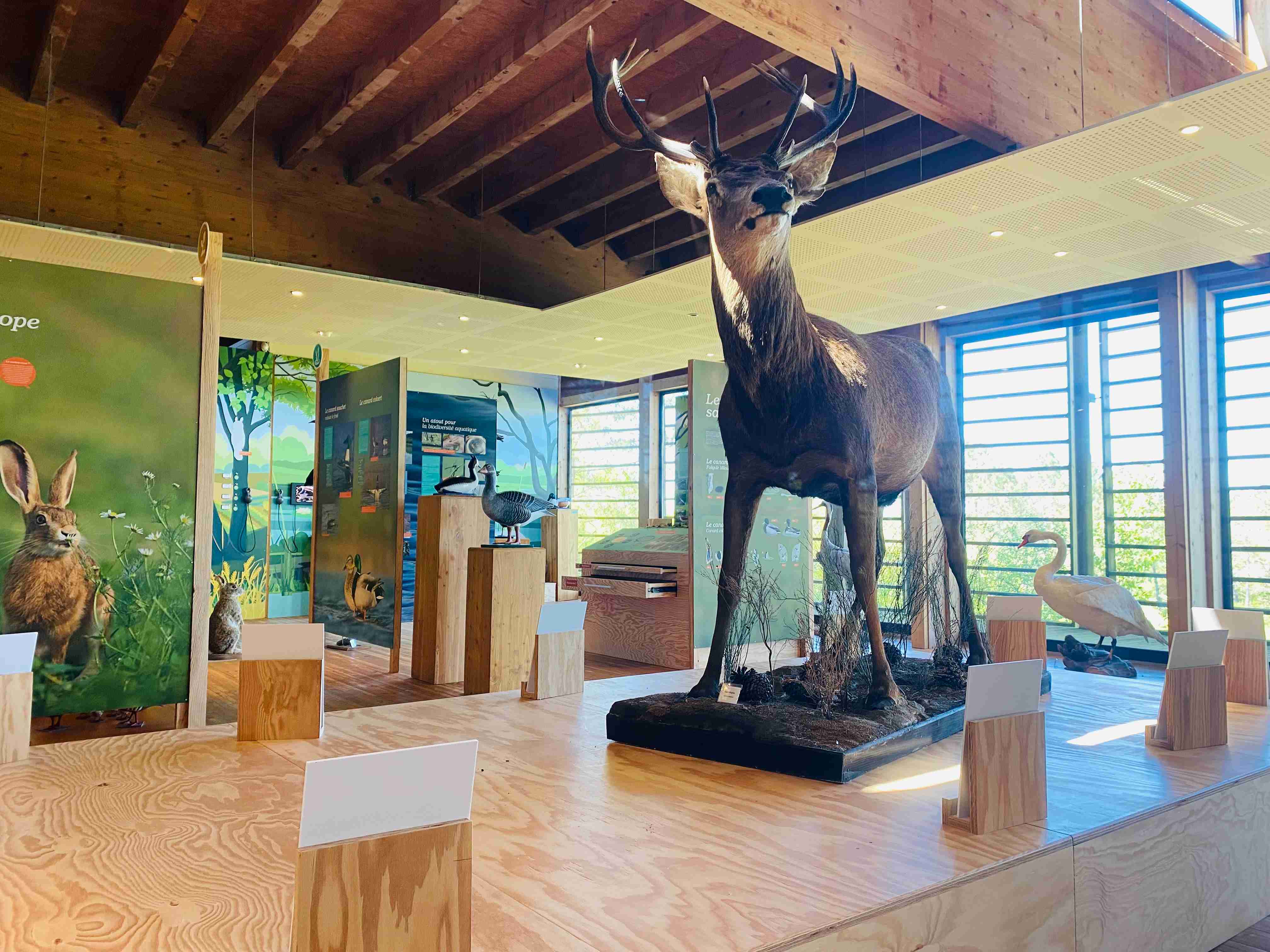 Centre Départemental de la Nature et des Pratiques Cynégétiques, Fargues-sur-Ourbise