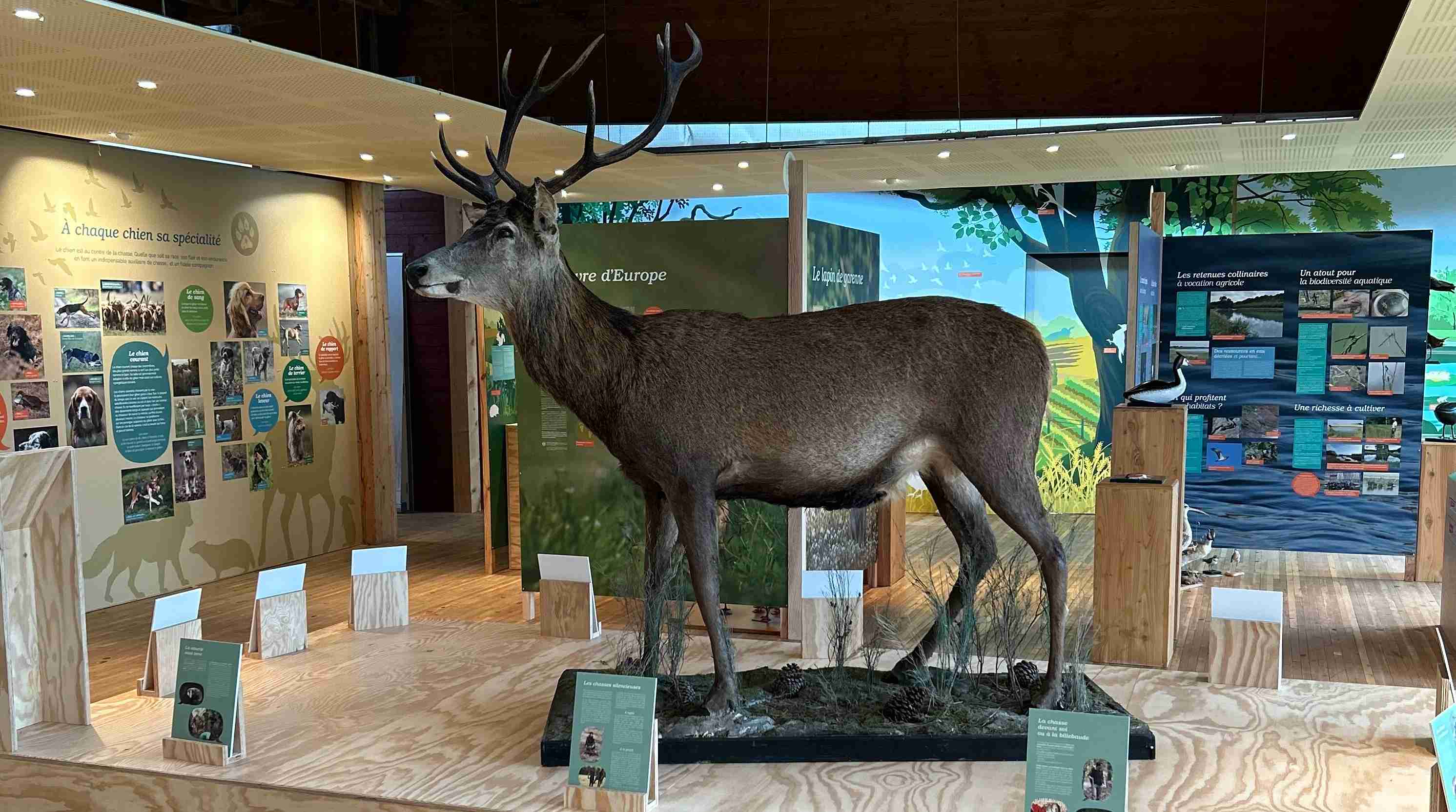 Centre Départemental de la Nature et des Pratiques Cynégétiques, Fargues-sur-Ourbise - photo 6