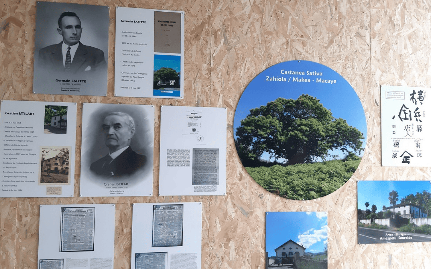 Maison de la Châtaigne basque - photo 3