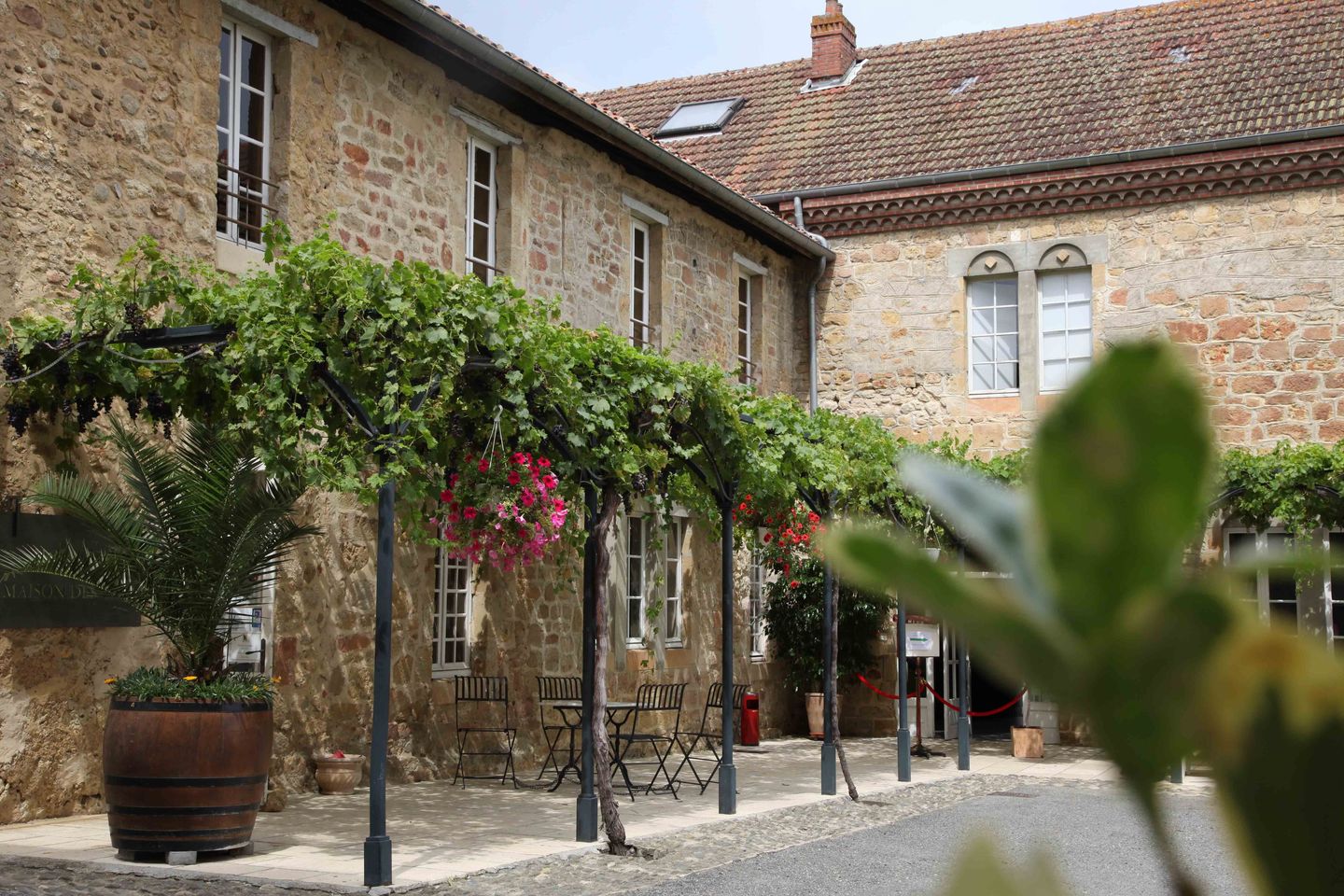Châteaux et vignobles du Madiran - N°11, Lembeye - photo 4