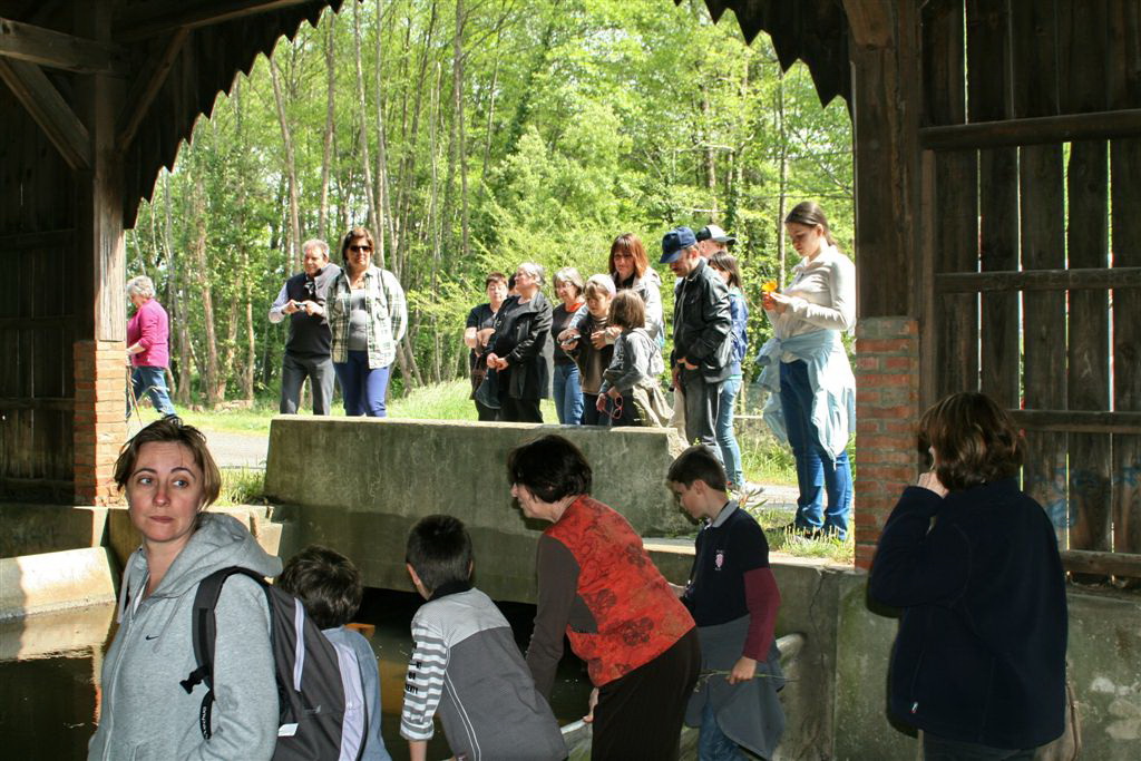 Maison du Patrimoine, Mimizan