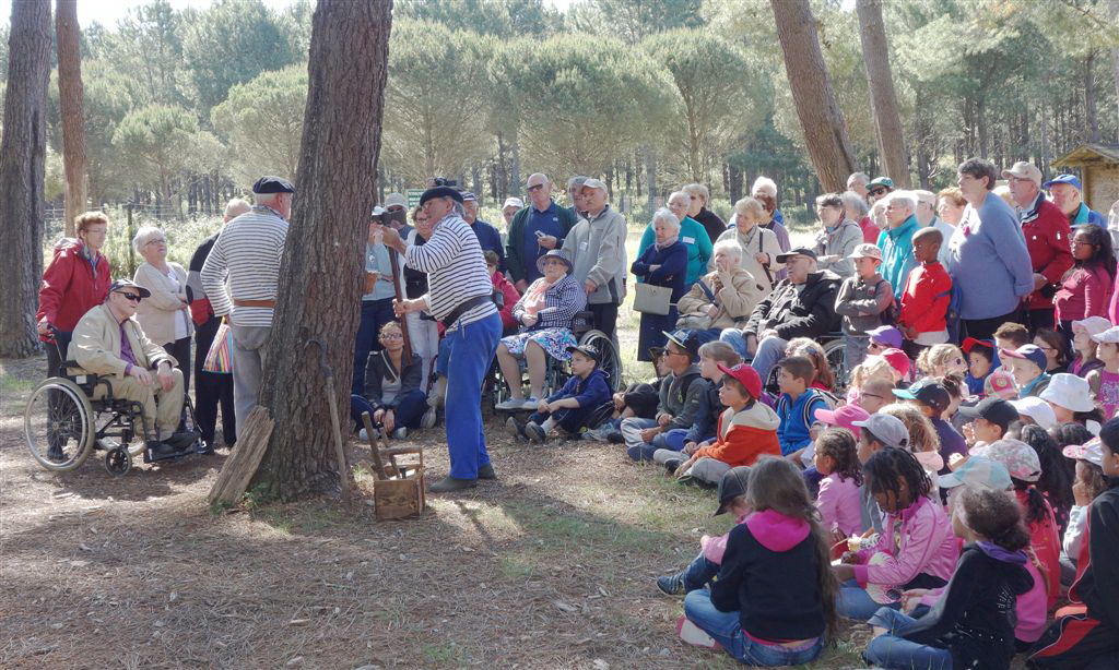 Maison du Patrimoine, Mimizan - photo 4