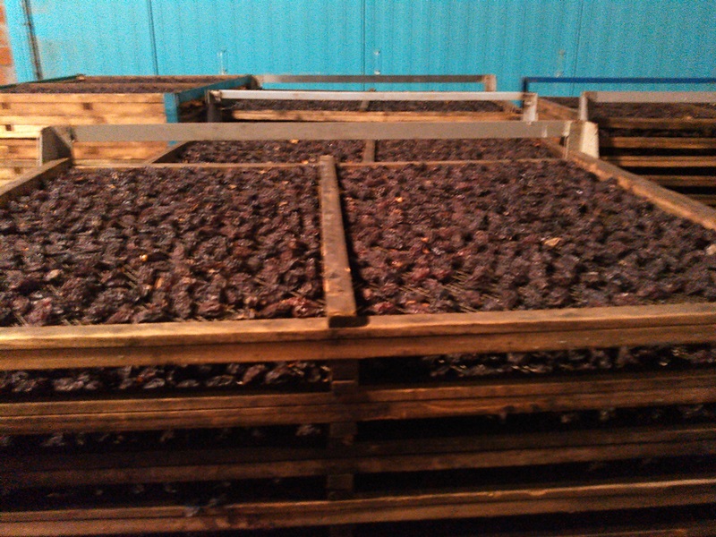 La Maison du Pruneau - photo 3