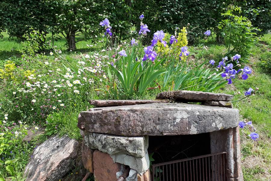 La Maison des Etoiles - Cassiopée, Noailhac