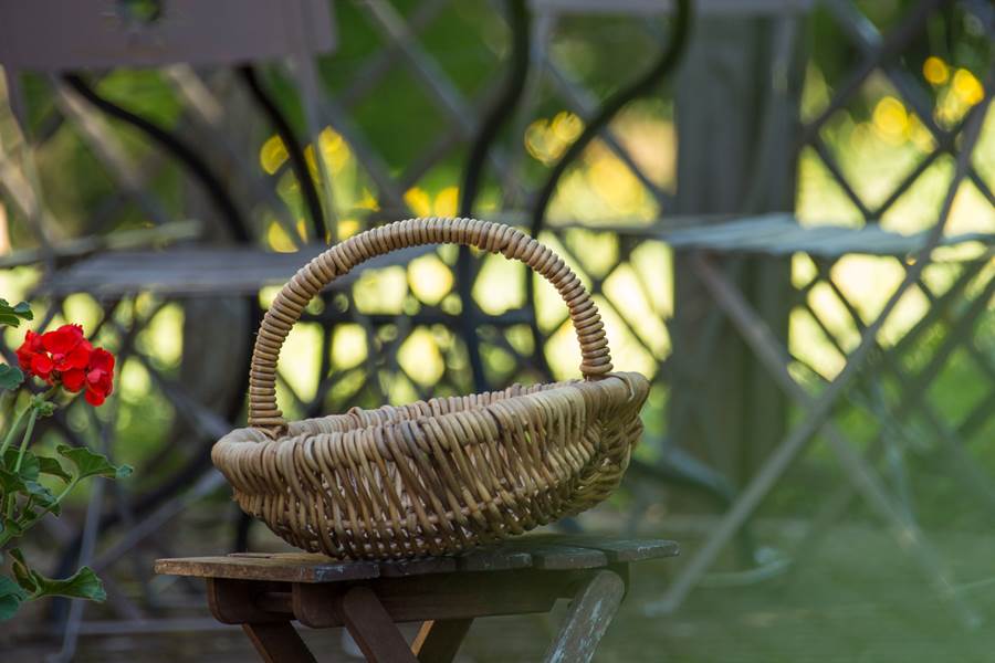 La Maison des Etoiles - Cassiopée, Noailhac - photo 11