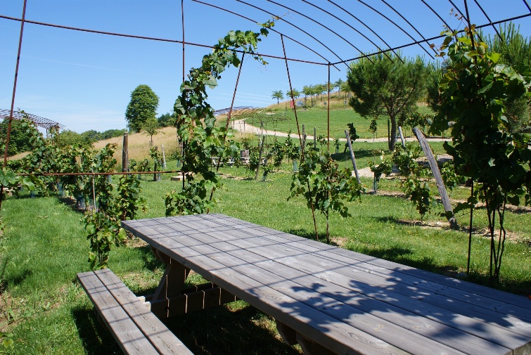 Aire de pique-nique à la Maison des Vins - photo 3