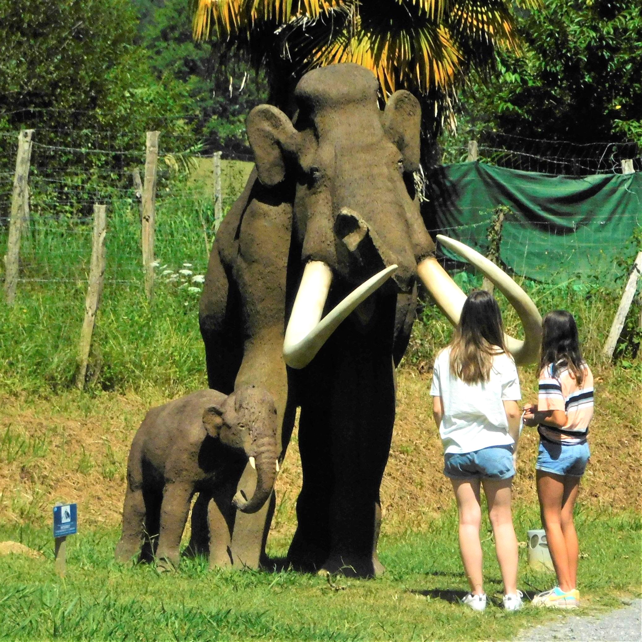 PréhistoSite de Brassempouy, Brassempouy - photo 3
