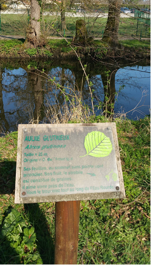 Balade à roulettes : Parc Mandavit