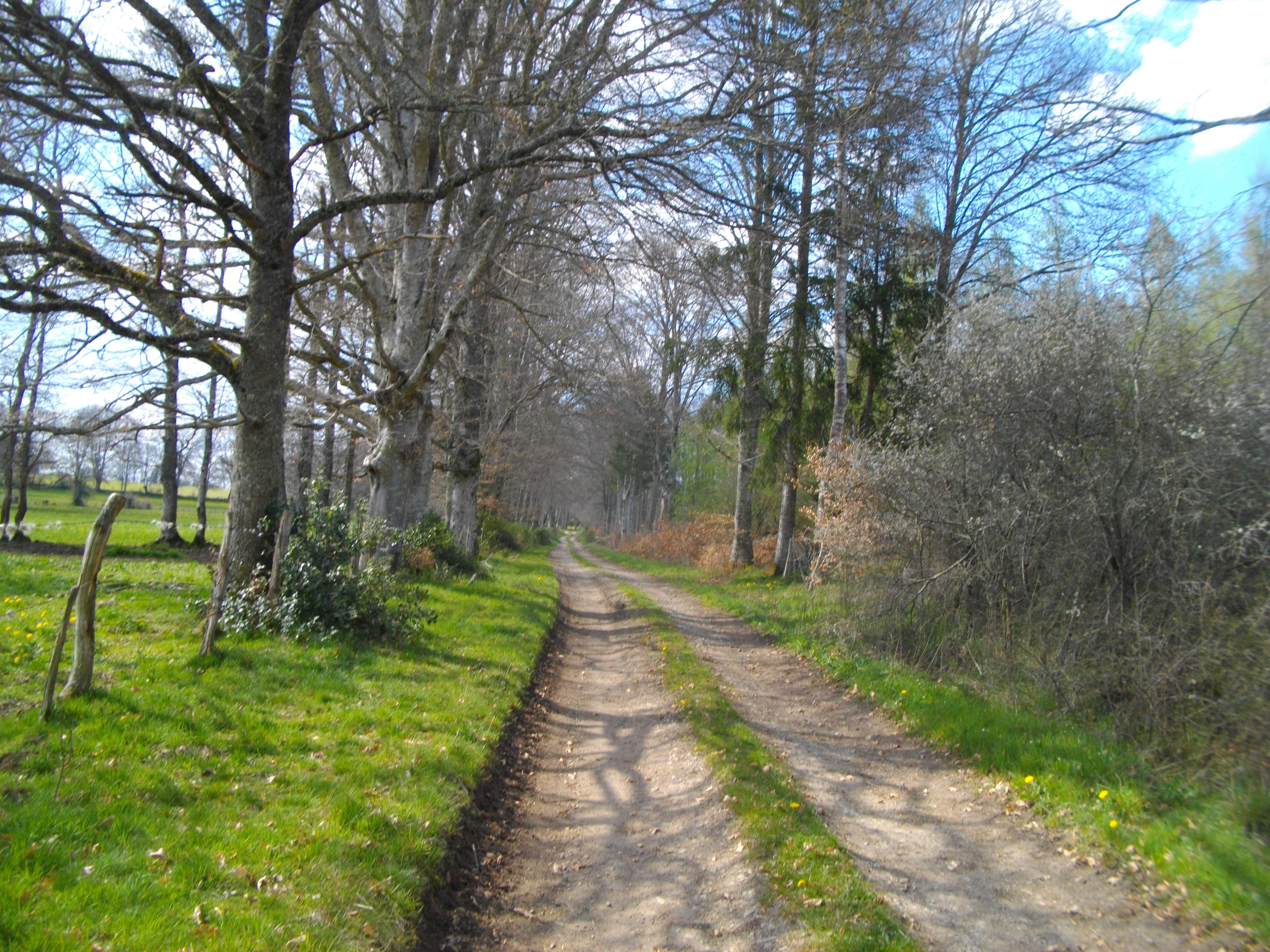 Hautefeuille Track - 12 km - photo 3
