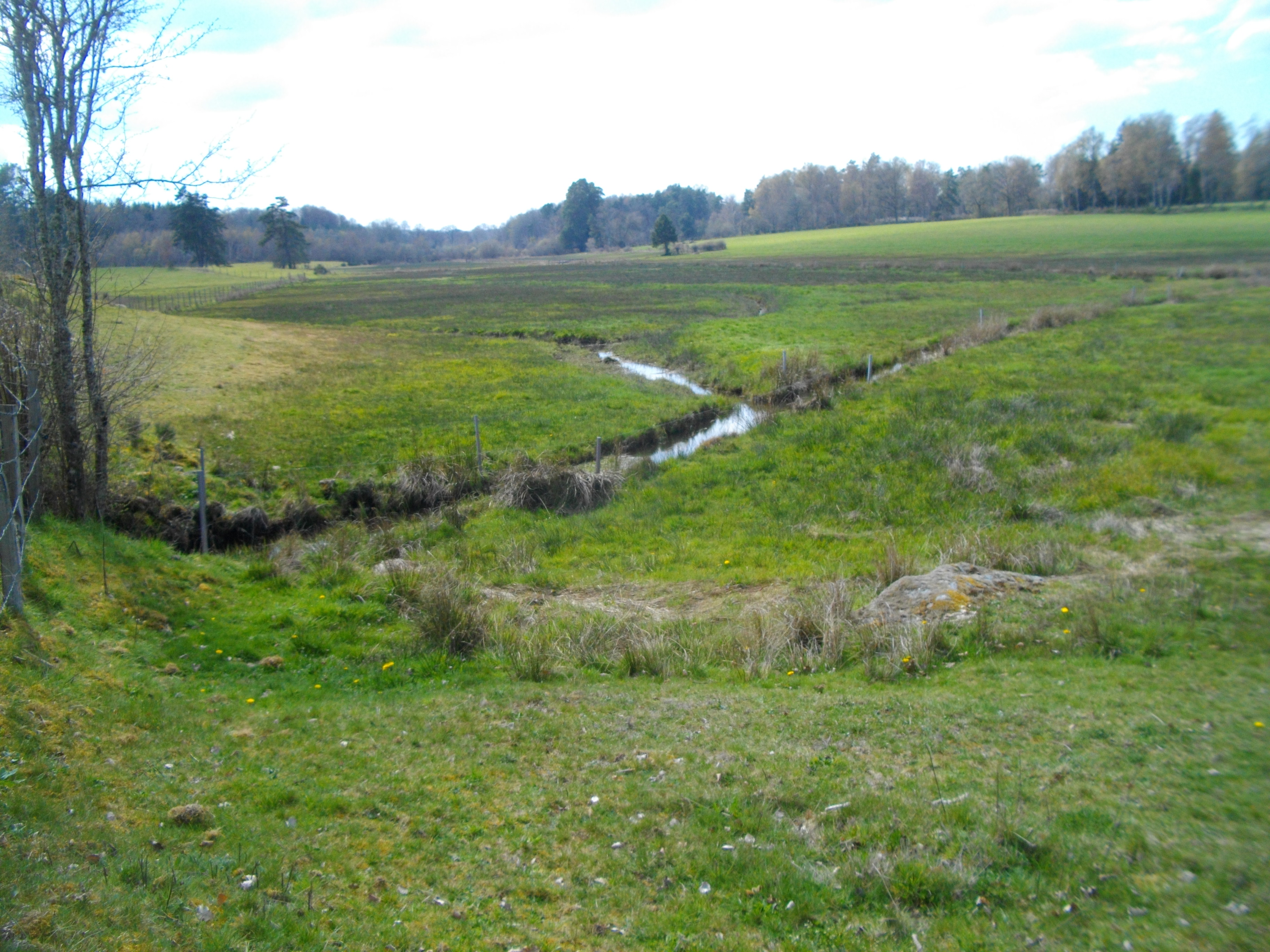 Hautefeuille Track - 12 km - photo 2