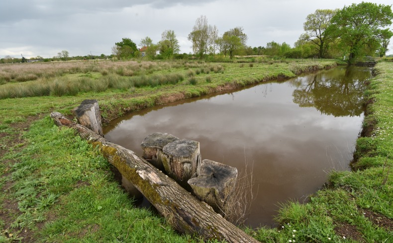 Marais de Montferrand, Saint-Louis-de-Montferrand