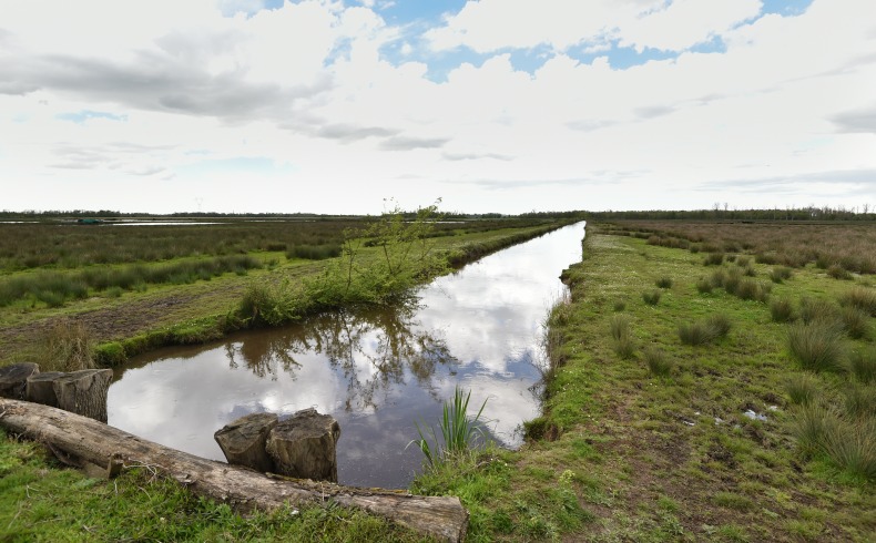 Marais de Montferrand, Saint-Louis-de-Montferrand - photo 2