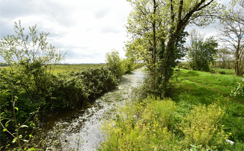 Marais de Montferrand