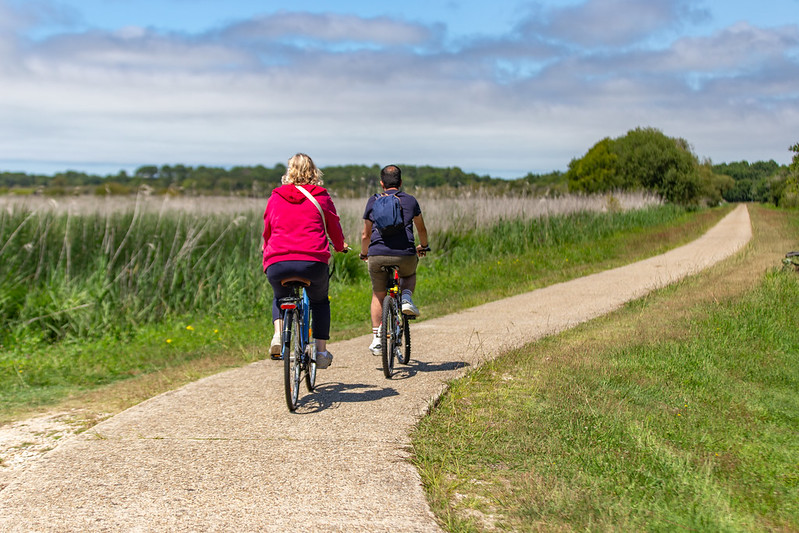 Sentier pédagogique du marais de la Perge
