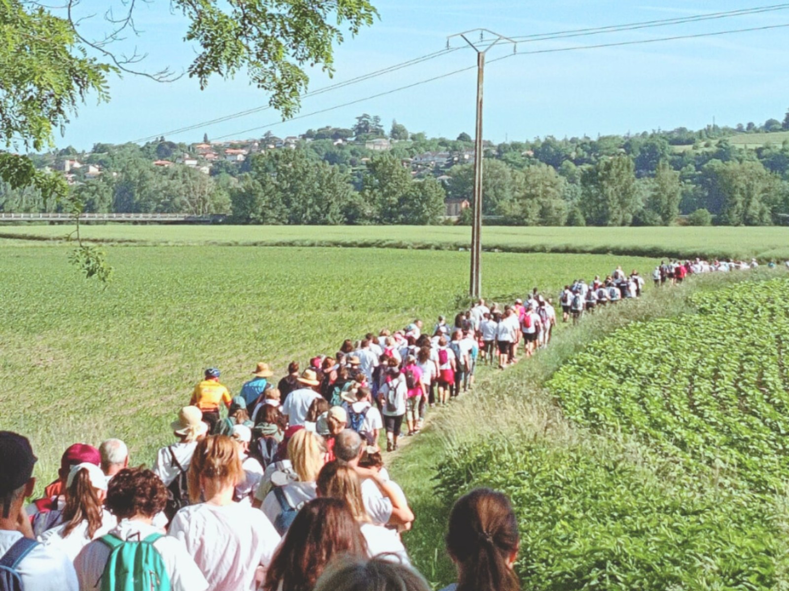Coeur en Réolais - photo 2