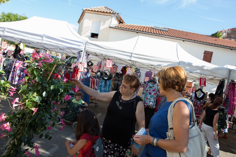 Marché traditionnel du Mercredi, Villeneuve-de-Marsan - photo 8