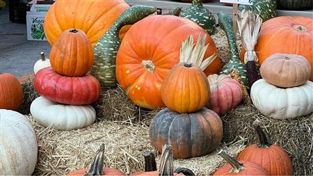 Marché d'Halloween