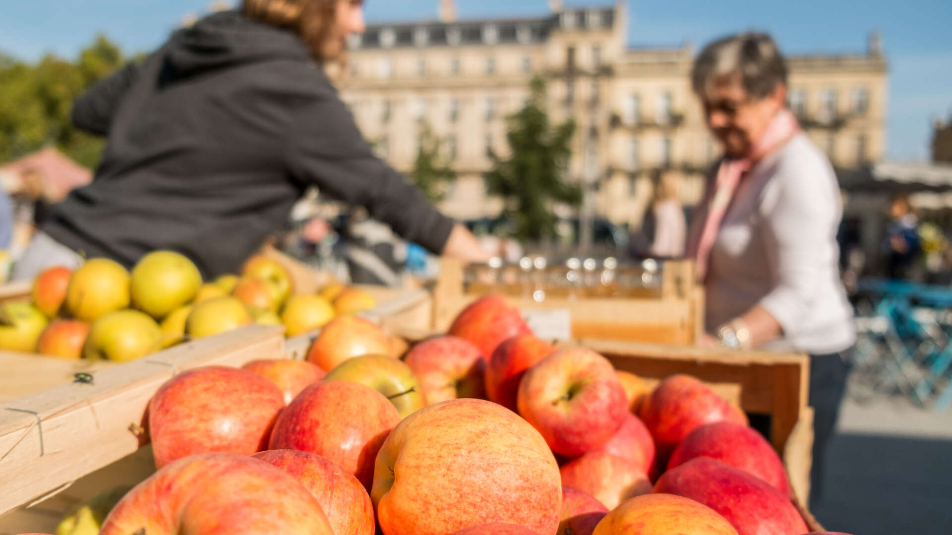 Marché de Pey Berland — photo 3