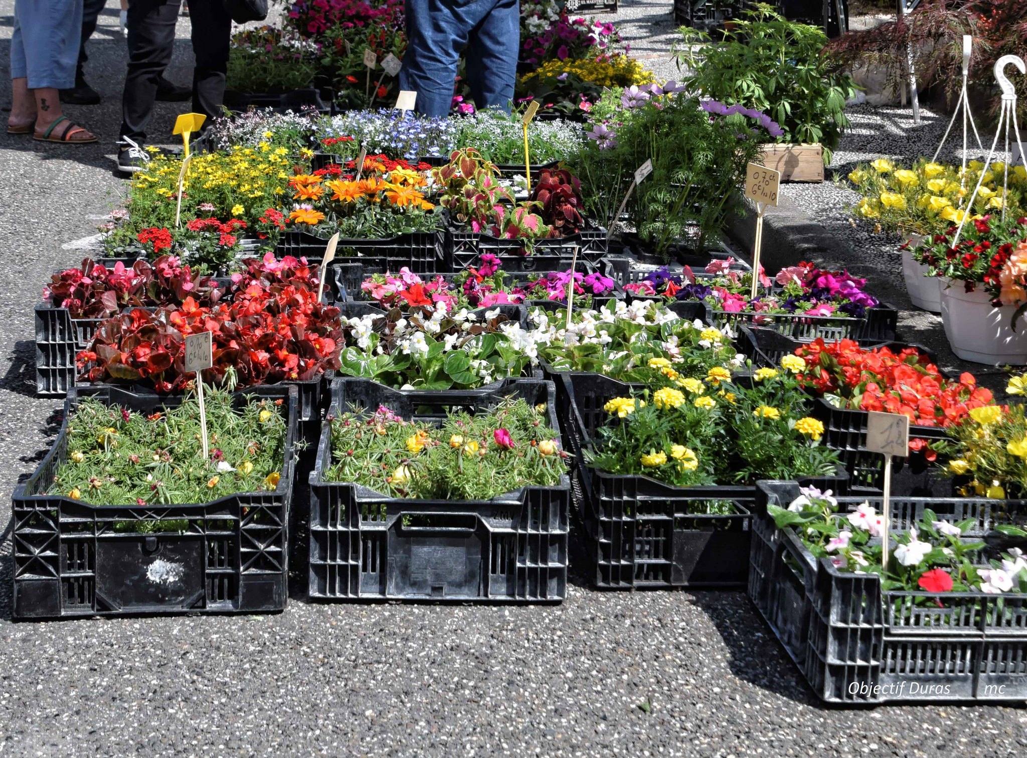 Marché aux fleurs, vide-greniers et artisanat, Duras - photo 5