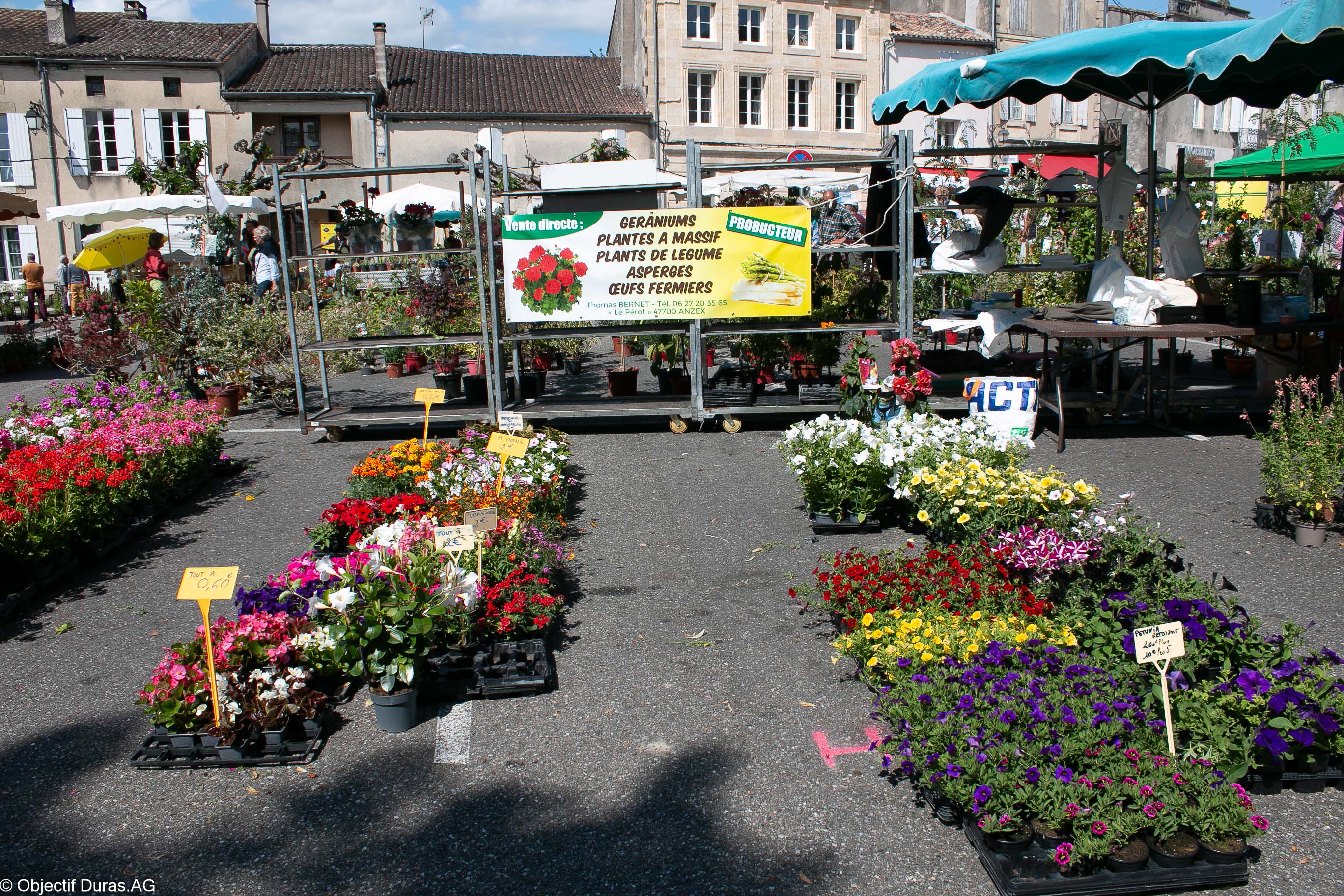 Marché aux fleurs, vide-greniers et artisanat, Duras - photo 7