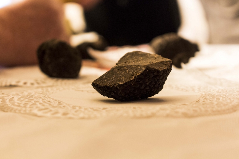 Truffière - photo 2