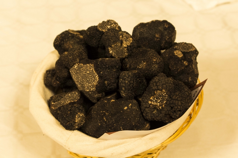 Truffière - photo 4