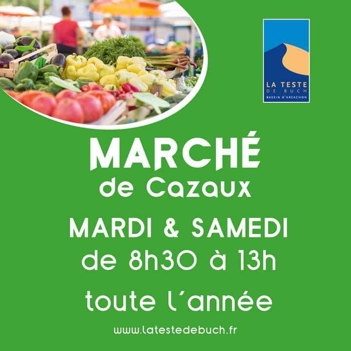 Marché de Cazaux — photo 2
