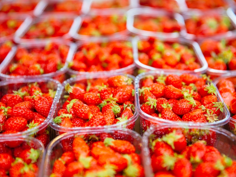 Marché de Bazas le samedi, Bazas