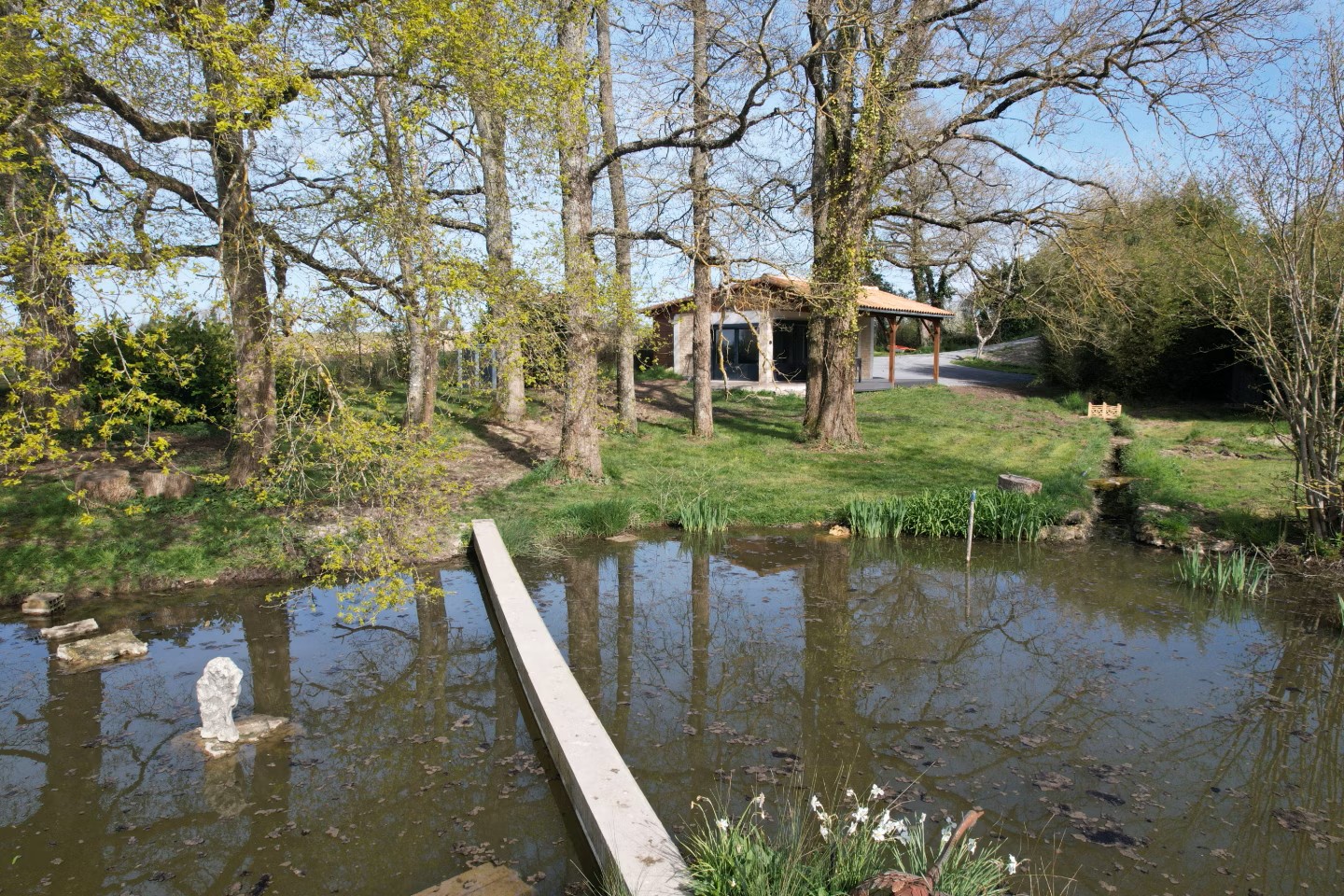 Les Étangs du Cygne Noir - photo 3