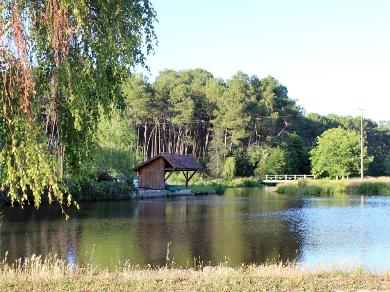 Domaine de l'Airial des Monges - Maison Landaise, Marions - photo 11