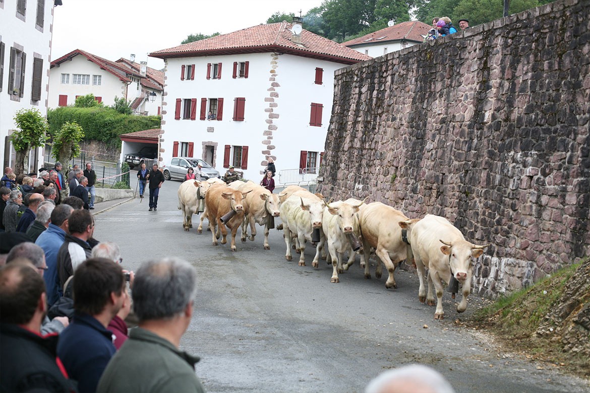 Portes ouvertes de la Vallée des Aldudes, Aldudes - photo 5