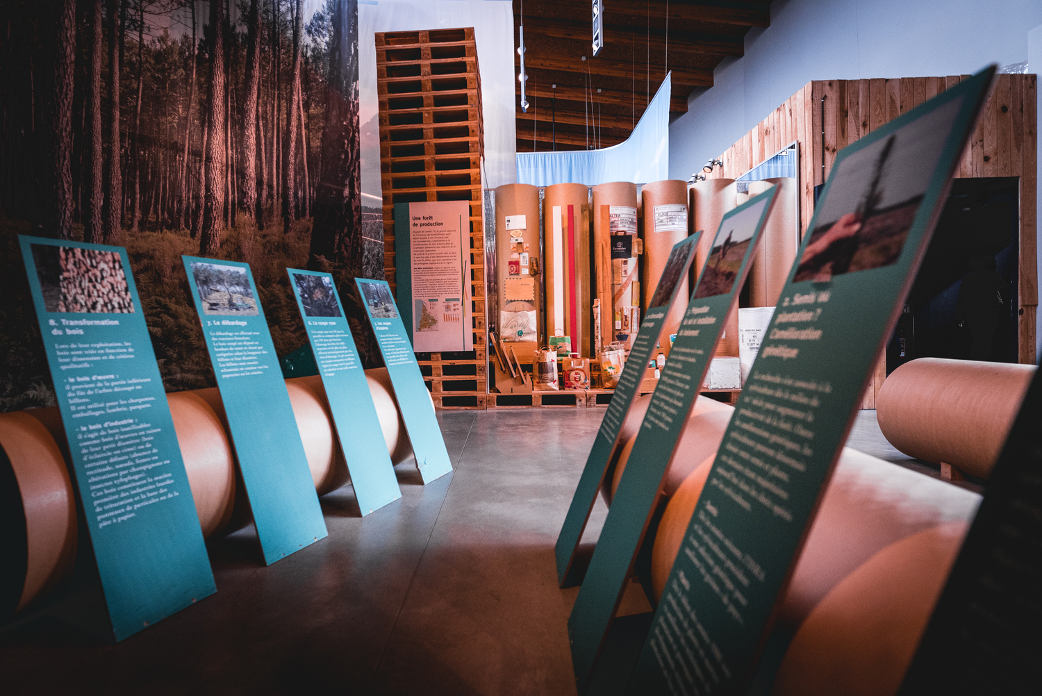 Le Pavillon de Marquèze, Sabres - photo 4