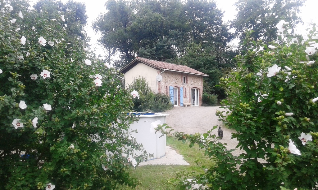 Gite Laplante, ferme chevaux
