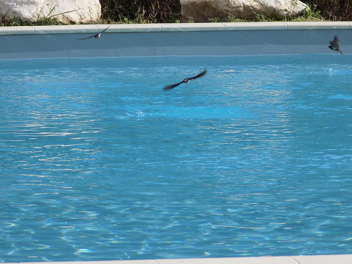 Le Mas de Barrat, Montrem - photo 7