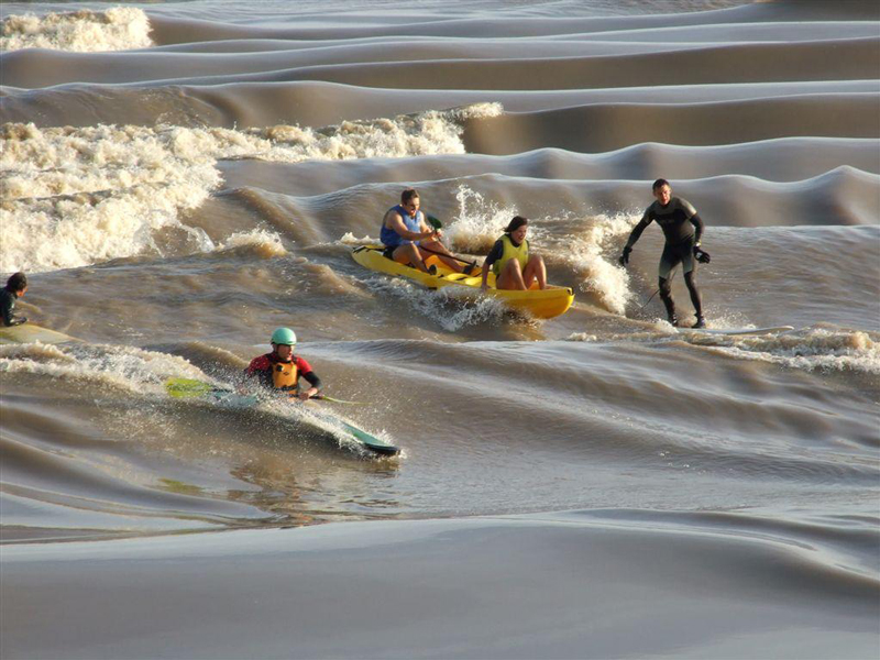 Le Mascaret, Vayres - photo 3