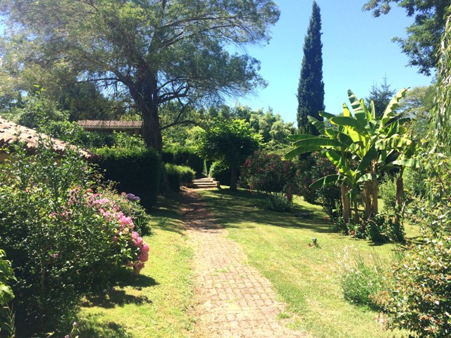 Gîte Matilon "Douceur Landaise" - photo 4