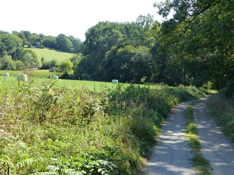 Maucor : Berges du Laaps