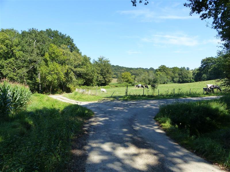 Maucor : Berges du Laaps