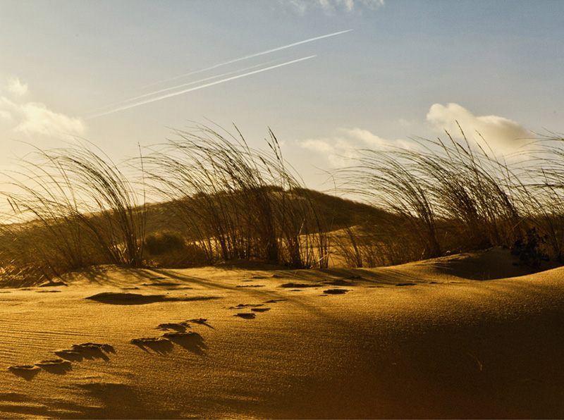 Loïc MAZALREY, Photographe