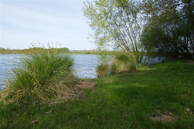 Momas : Du Luy à l'Ayguelongue