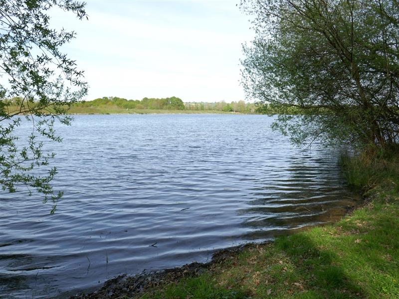 Momas : Du Luy à l'Ayguelongue