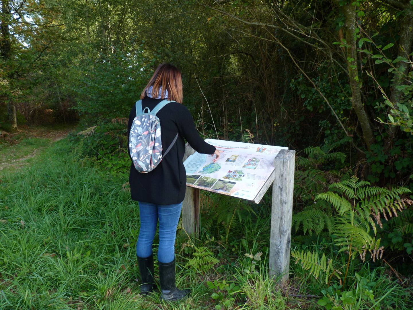 Landes humides du bois de la Seube, Mazerolles - photo 14