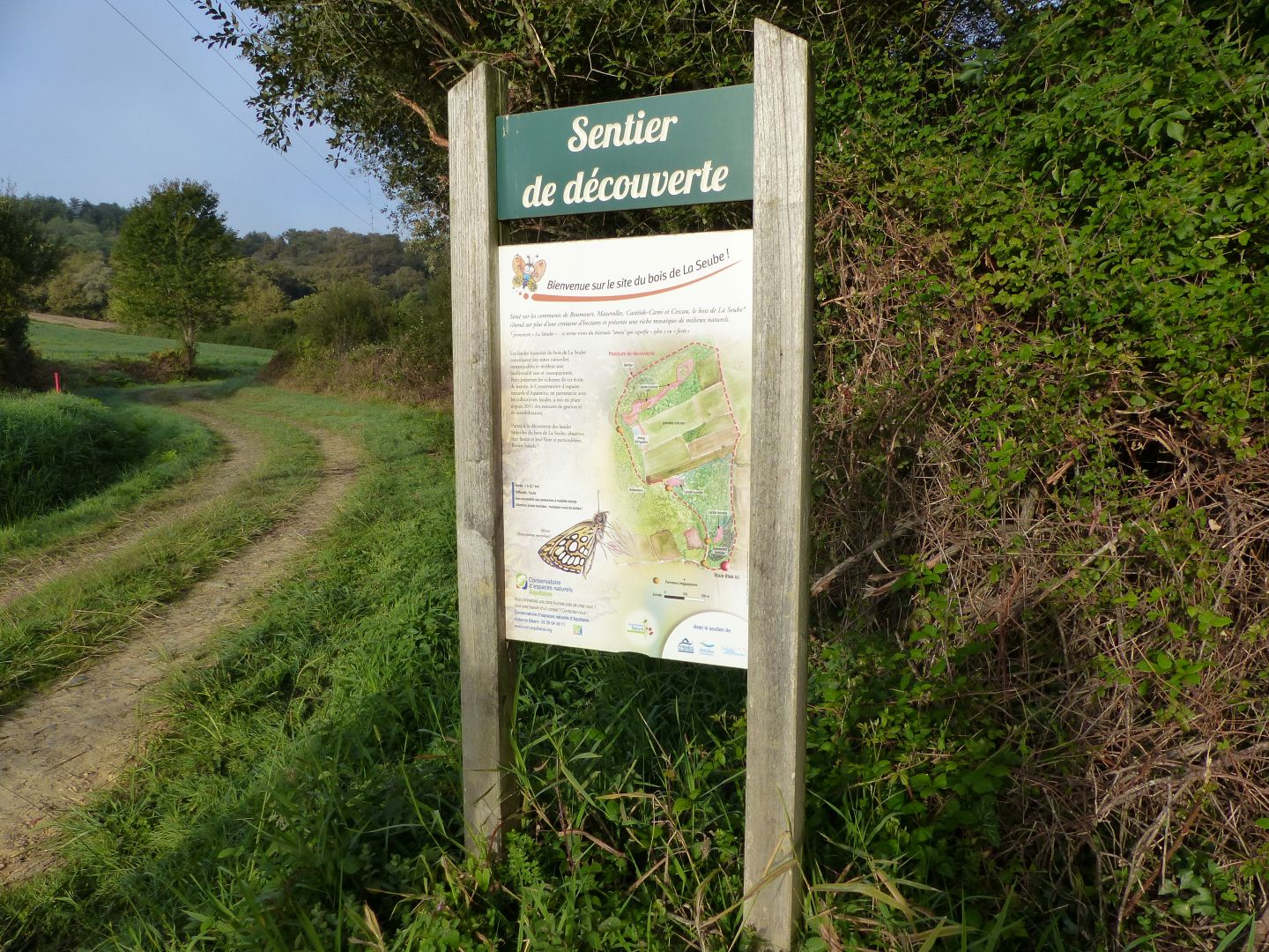 Landes humides du bois de la Seube