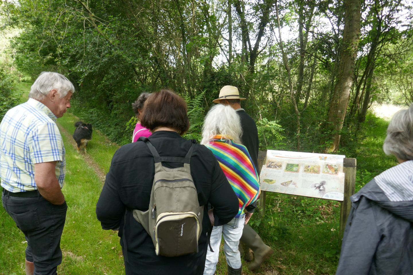 Landes humides du bois de la Seube