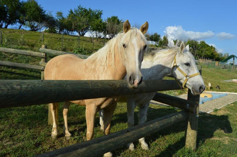 Melly Golf, Castelnau-sur-Gupie - photo 12