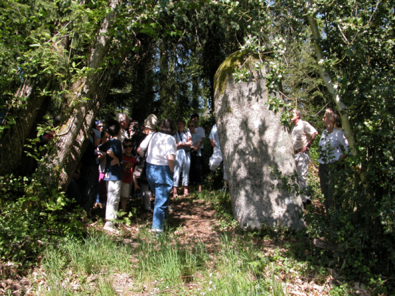 Menhir de Fixard, Saint-Estèphe - photo 3