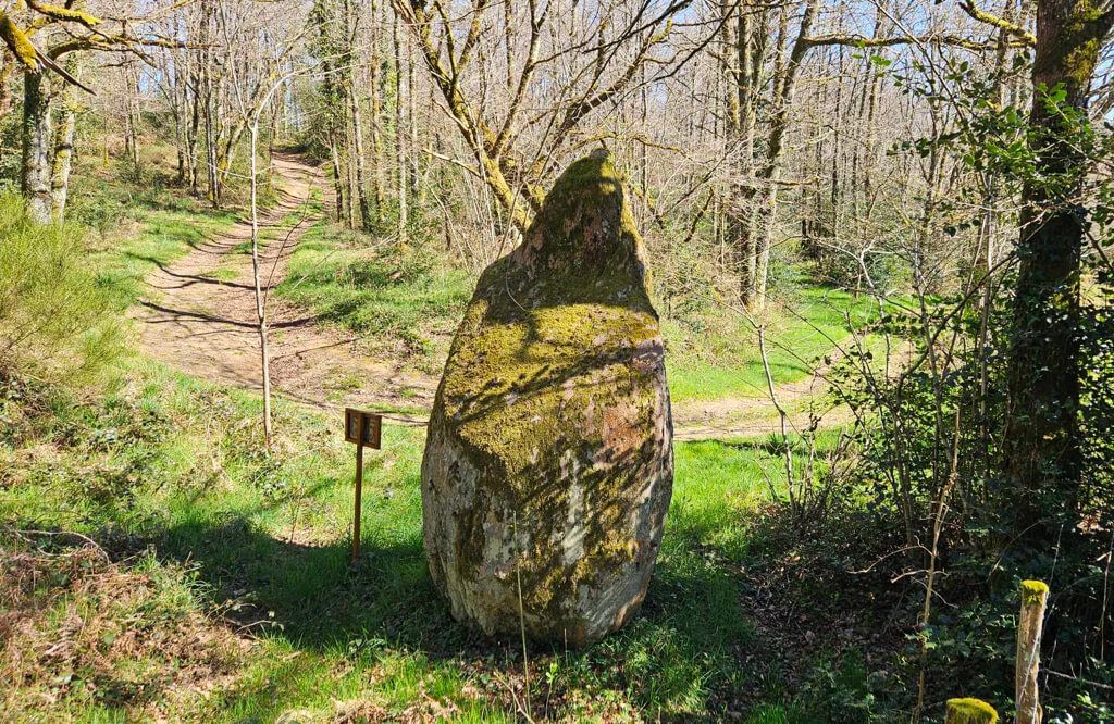 Menhir du Theil, Gorre - photo 3