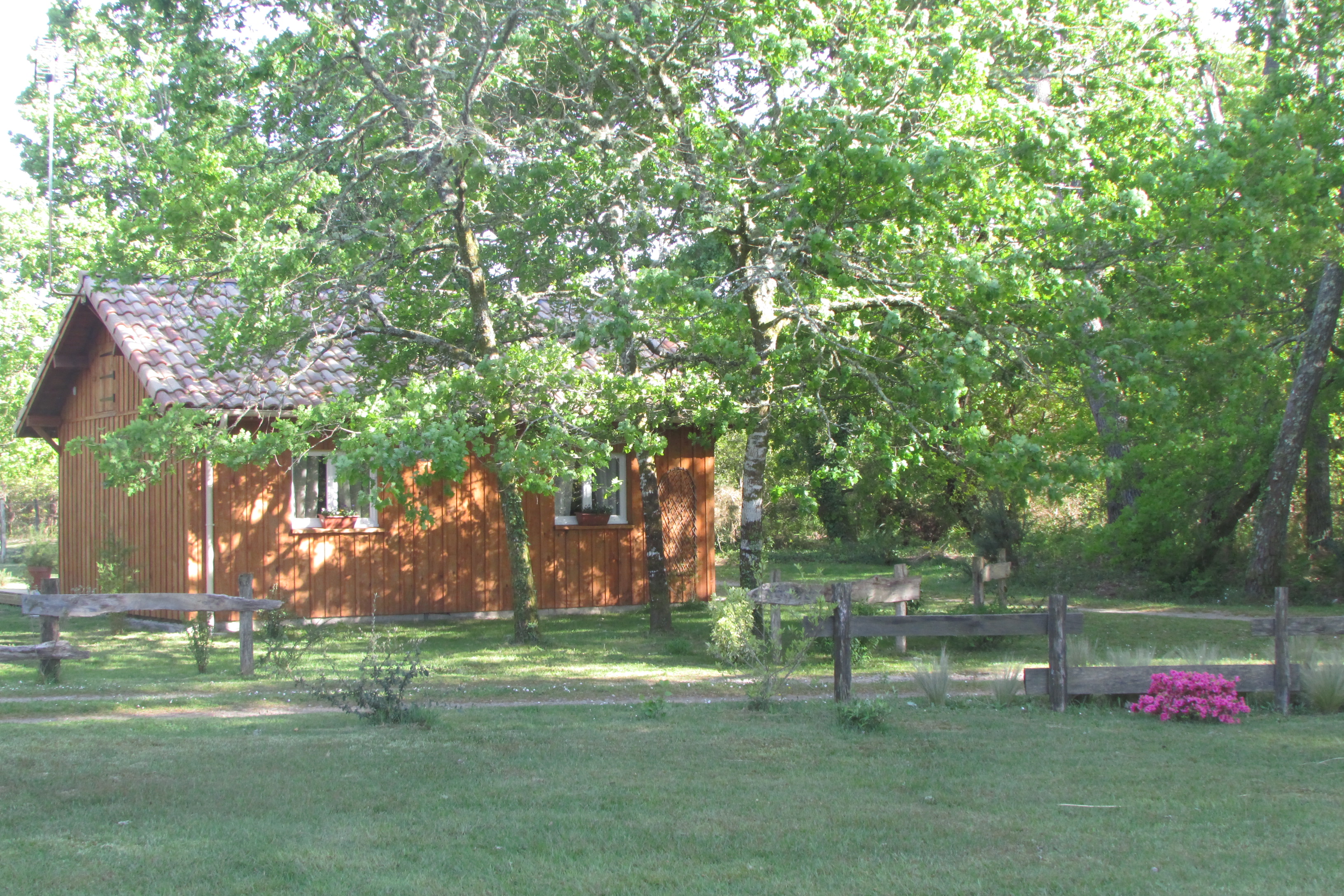 Menon, Luglon - photo 10