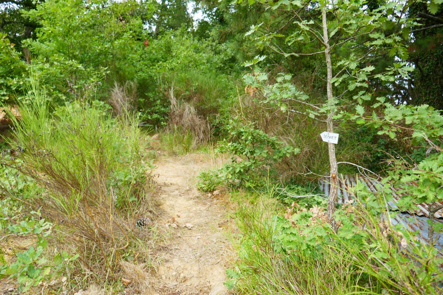 Sentier forestier de la ferme Légère