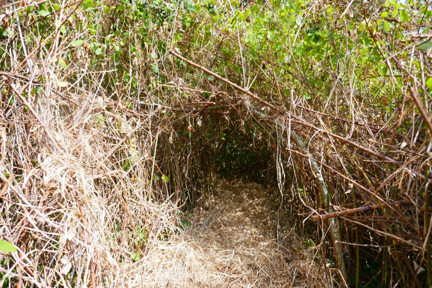 Sentier forestier de la ferme Légère